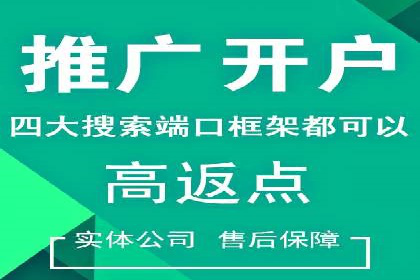 成功SEM托管案例解析